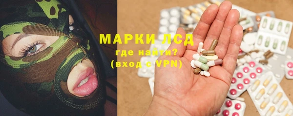 индика Алзамай