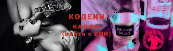 индика Алзамай