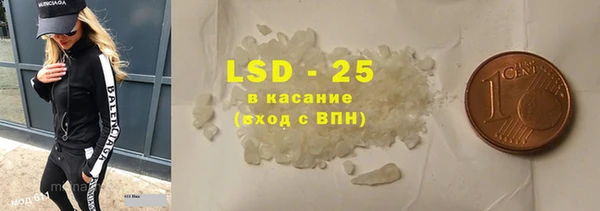 индика Алзамай