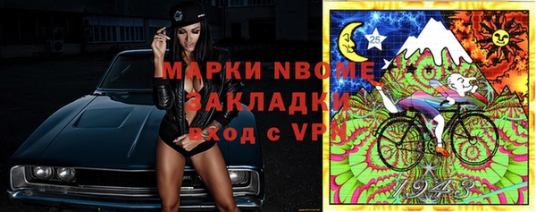 индика Алзамай