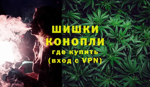 индика Алзамай